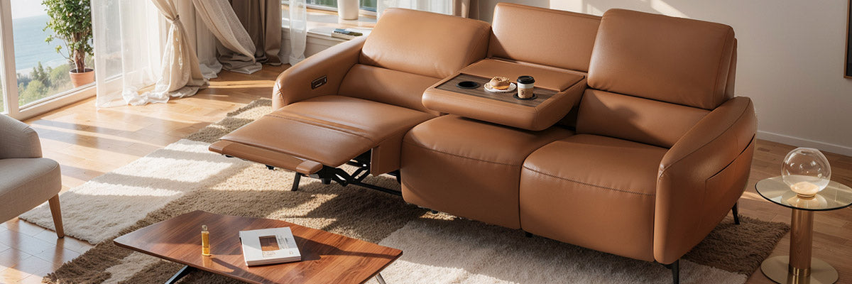 Brown Leather Couches