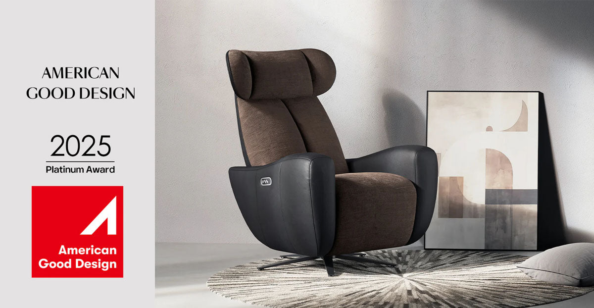 SwanSing Zero Gravity Recliner Chair