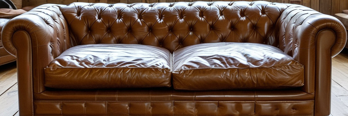 protect leather sofa