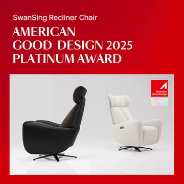 SwanSing Single-Seater Power Zero Gravity Recliner Chair 2025 Edition