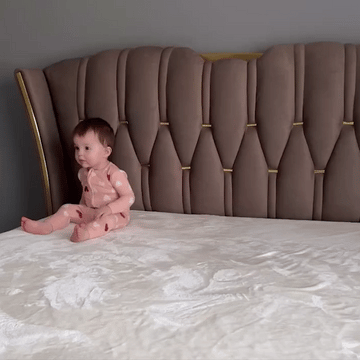 Sophie Common Luxury Tufted Grey Upholstered Wingback Platform Bed Frame Queen with Headboard