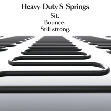 SwanSing Single-Seater Power Zero Gravity Recliner Chair 2025 Edition