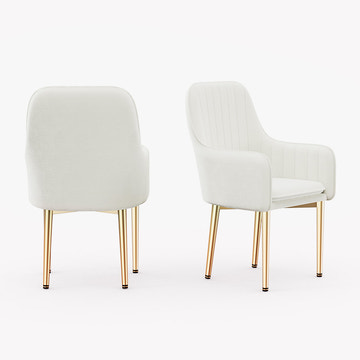 Eden Common Luxury White Dining Chair with Arms (Set of 2)