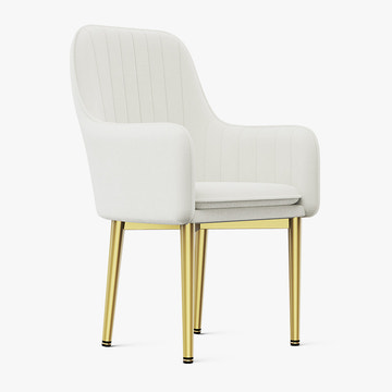 Eden Common Luxury White Dining Chair with Arms (Set of 2)