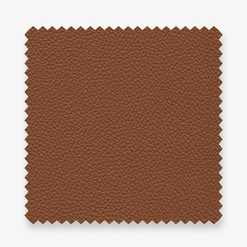 V, Top-Grain Leather
